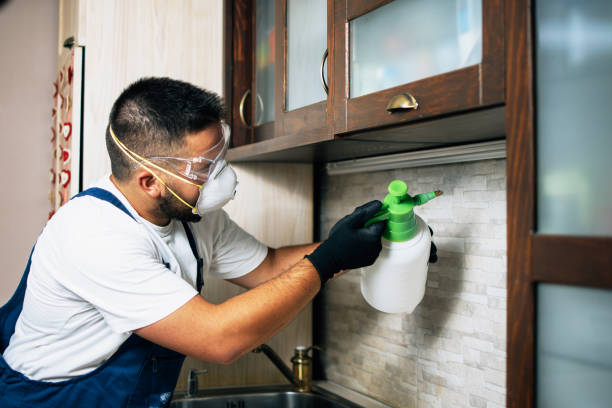 Best Cockroach Control Services  in Hamburg, PA
