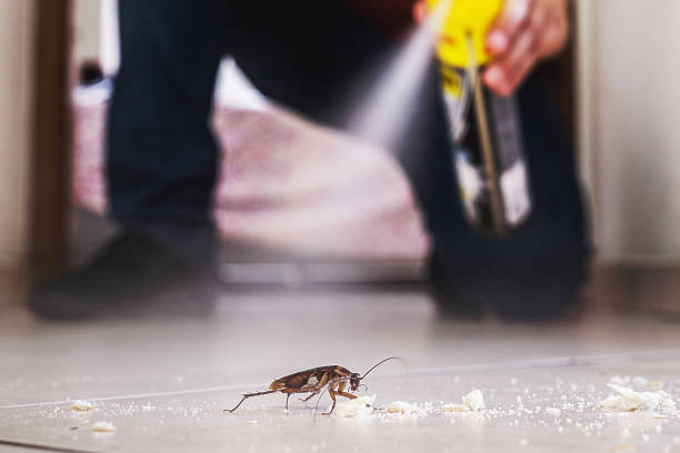 Best Bed Bug Extermination  in Hamburg, PA