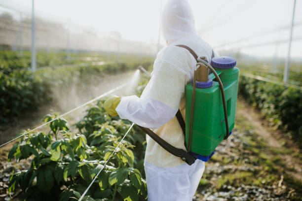 Best Cockroach Control Services  in Hamburg, PA